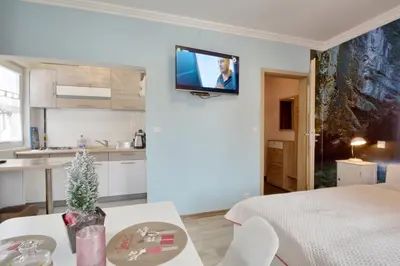 Telewizja i/lub zestaw kina domowego w obiekcie Apartament Gałązka Jabłoni