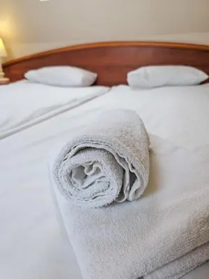 Łóżko lub łóżka w pokoju w obiekcie Willa Sanssouci