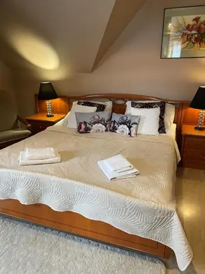 Łóżko lub łóżka w pokoju w obiekcie APARTAMENTY VILLA PIGMALION - sauna, jacuzzi, parking, ogród