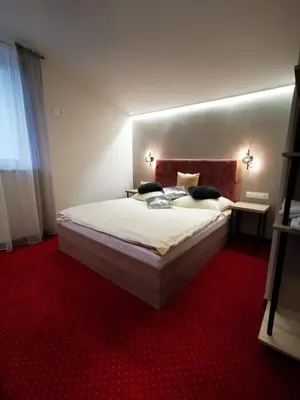 Łóżko lub łóżka w pokoju w obiekcie Noclegi Pod Borem