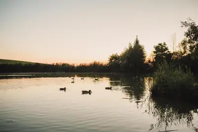 Przyroda w pobliżu tego domu wakacyjnego