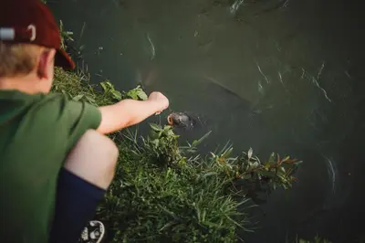 Goście zatrzymujący się w obiekcie Domek nad Rozlewiskiem