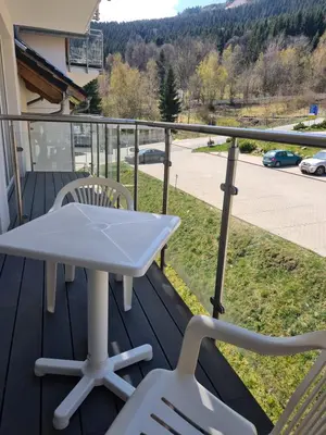 Przyroda w pobliżu tego apartamentu