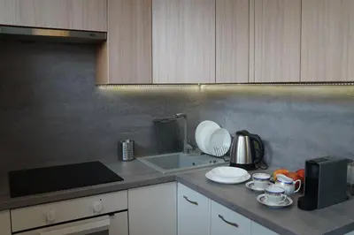 Kuchnia lub aneks kuchenny w obiekcie Apartament Gliwice Centrum Dunikowskiego z garażem