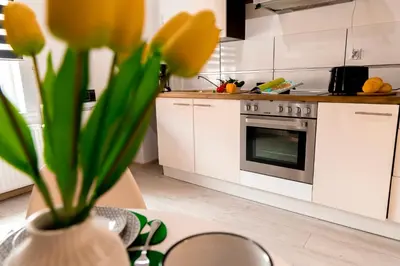 Kuchnia lub aneks kuchenny w obiekcie Apartamenty Zieleniec-Julia 3