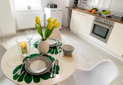 Kuchnia lub aneks kuchenny w obiekcie Apartamenty Zieleniec-Julia 3