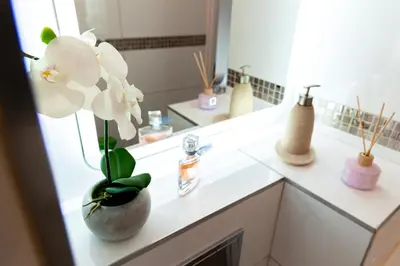 Napoje w obiekcie Apartamenty Zieleniec-Julia 3