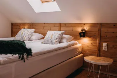 Łóżko lub łóżka w pokoju w obiekcie Dzikowiejsko
