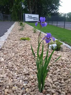 Ogród w obiekcie Park Hotel Dobrodzień