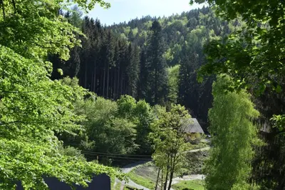 Przyroda w pobliżu tego apartamentu