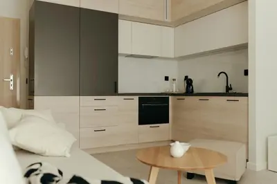 Kuchnia lub aneks kuchenny w obiekcie APARTAMENT Marina Port