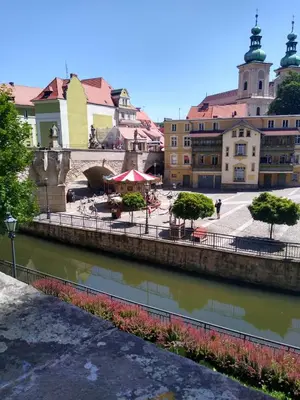 Przyroda w pobliżu tego apartamentu
