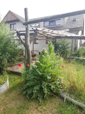 Ogród w obiekcie Biohof Am Turawa-See