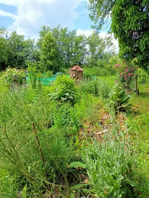 Ogród w obiekcie Biohof Am Turawa-See