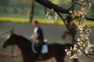 Zwierzęta w gospodarstwie agroturystycznym lub w pobliżu