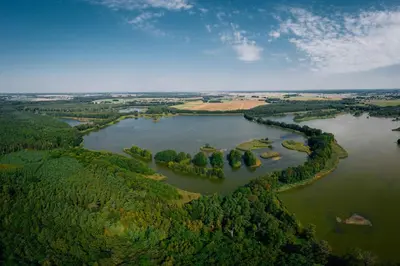 Przyroda w pobliżu tego apartamentu