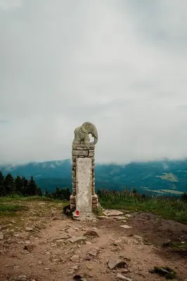 Przyroda w pobliżu tego apartamentu