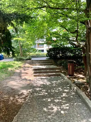 Ogród w obiekcie Green Apartament parking free