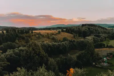 Przyroda w pobliżu tego apartamentu