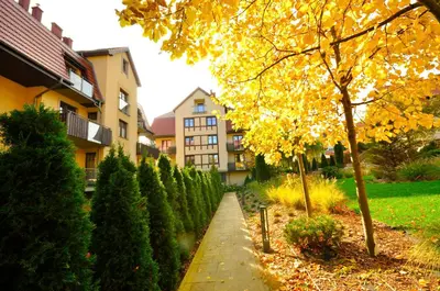 Ogród w obiekcie Apartament harmonic aparts