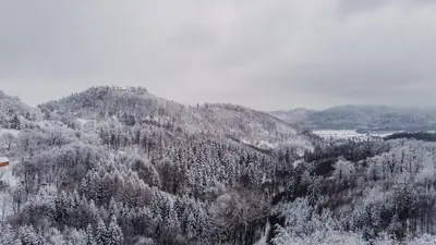 Przyroda w pobliżu tego apartamentu