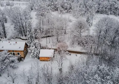 Obiekt Las Skarpa apartamenty zimą