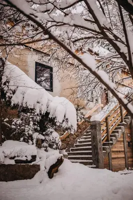 Obiekt Las Skarpa apartamenty zimą