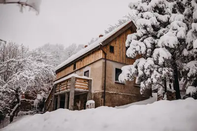 Obiekt Las Skarpa apartamenty zimą