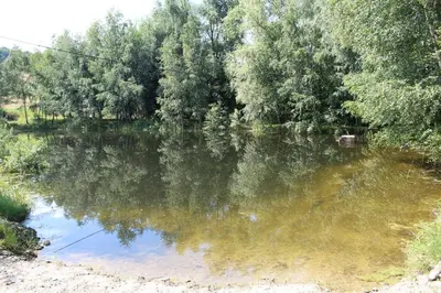 Przyroda w pobliżu tego apartamentu