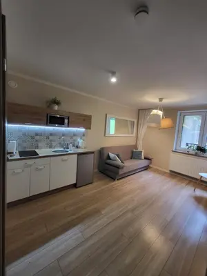 Kuchnia lub aneks kuchenny w obiekcie Apartamenty Willove Wzgórze