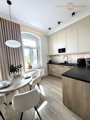 Kuchnia lub aneks kuchenny w obiekcie Apartamenty Toszeckie LUX