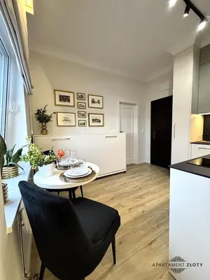 Kuchnia lub aneks kuchenny w obiekcie Apartamenty Toszeckie LUX