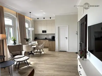 Kuchnia lub aneks kuchenny w obiekcie Apartamenty Toszeckie LUX