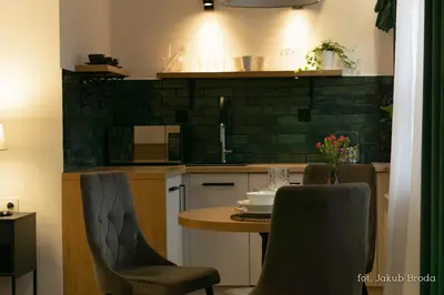 Kuchnia lub aneks kuchenny w obiekcie Apartamenty Toszeckie