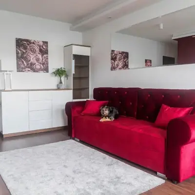 Rose Valley Apartment
