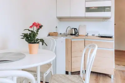 Kuchnia lub aneks kuchenny w obiekcie Duszniki-Zdrój Przytulny Apartament z Tarasem