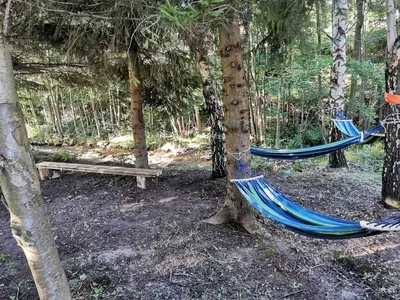 Ogród w obiekcie Nad Potokiem z Alpakami