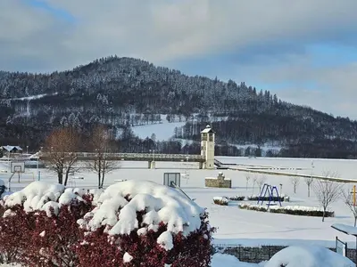 Obiekt Nad Potokiem z Alpakami zimą