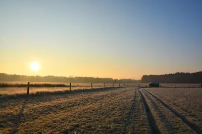 Przyroda w pobliżu tego luksusowego namiotu