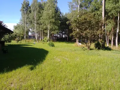 Przyroda w pobliżu tego domu wakacyjnego
