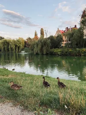 Widok na rzekę nieopodal tego apartamentu