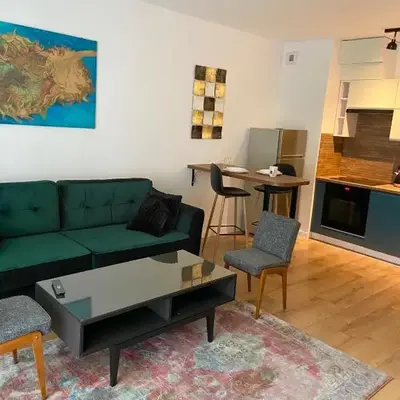Green Sofa Apartment
