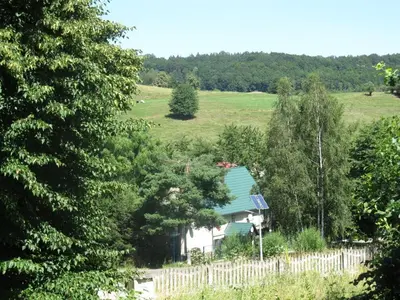 Przyroda w pobliżu tego apartamentu