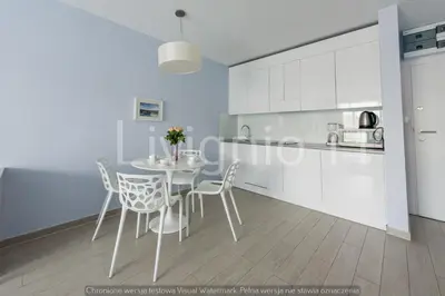 Kuchnia lub aneks kuchenny w obiekcie Apartament Czarna Góra Sienna LIV