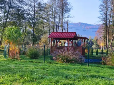 Przyroda w pobliżu tego pensjonatu