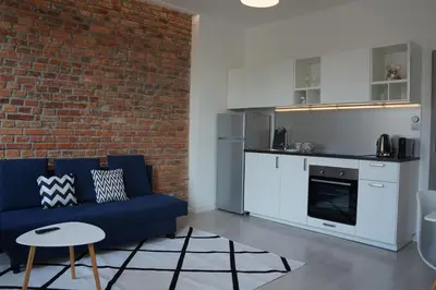 Kuchnia lub aneks kuchenny w obiekcie Apartament Gliwice Centrum Witkiewicza I