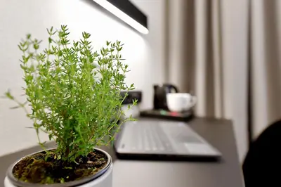 Plan piętra w obiekcie Herbal Hotel Wrocław