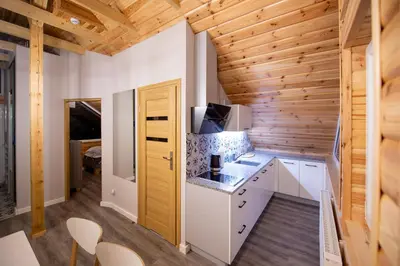 Kuchnia lub aneks kuchenny w obiekcie Apartamenty Eksploris