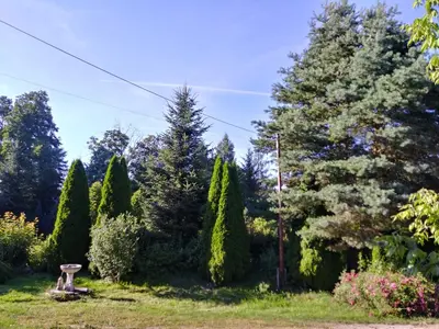 Ogród w obiekcie Agroturystyka Nad Cichą