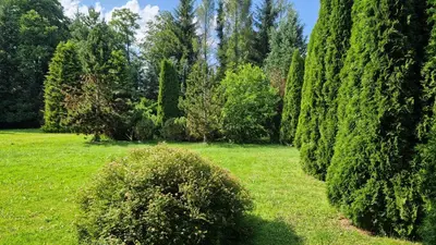 Ogród w obiekcie Agroturystyka Nad Cichą